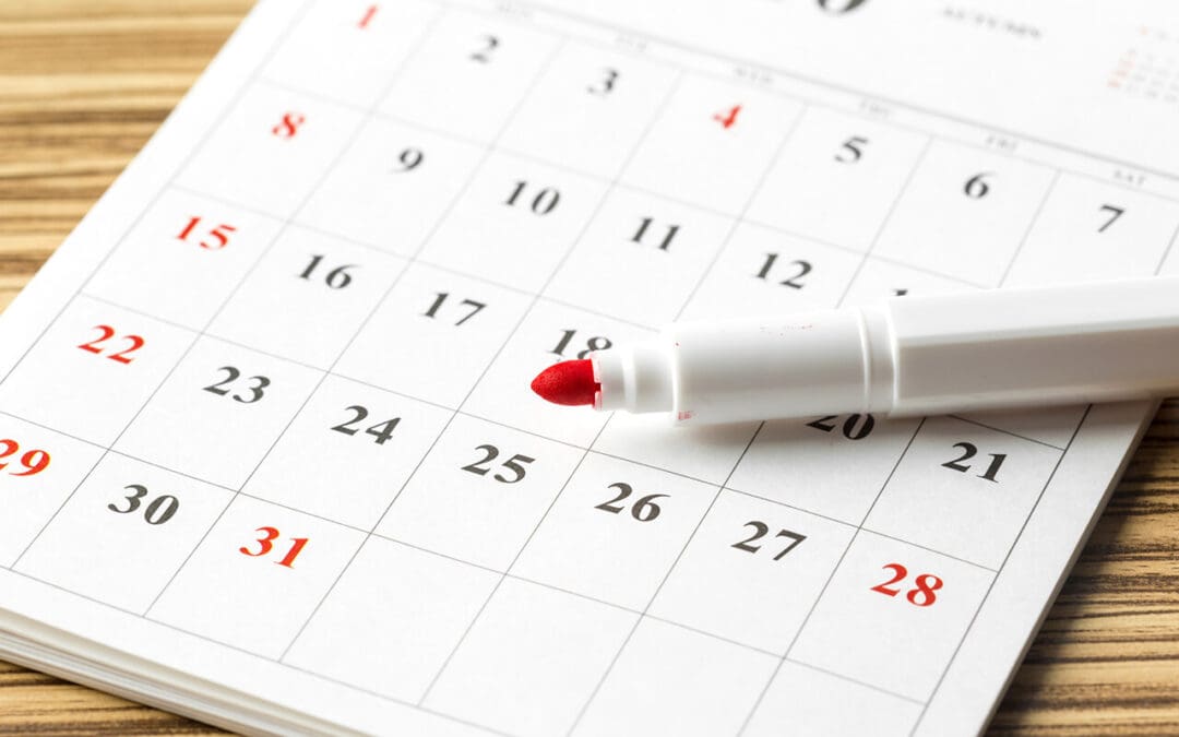 Monthly Home Maintenance Checklist: Simple Tasks That Protect Your Home Year-Round