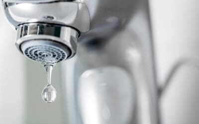 Clear Choices: Understanding Water Contaminants in Your Home
